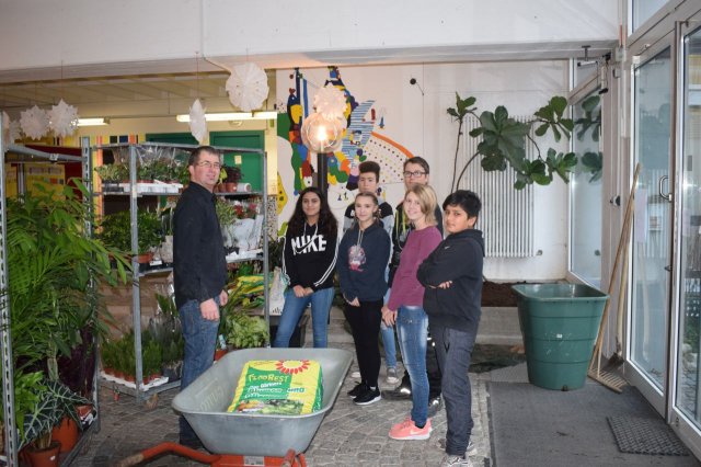 Begrünung der Aula