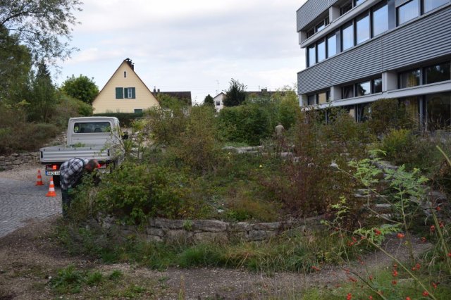 pausehof_1